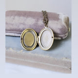 1880's Mother of Pearl and Cut Steel Button Locket Necklace